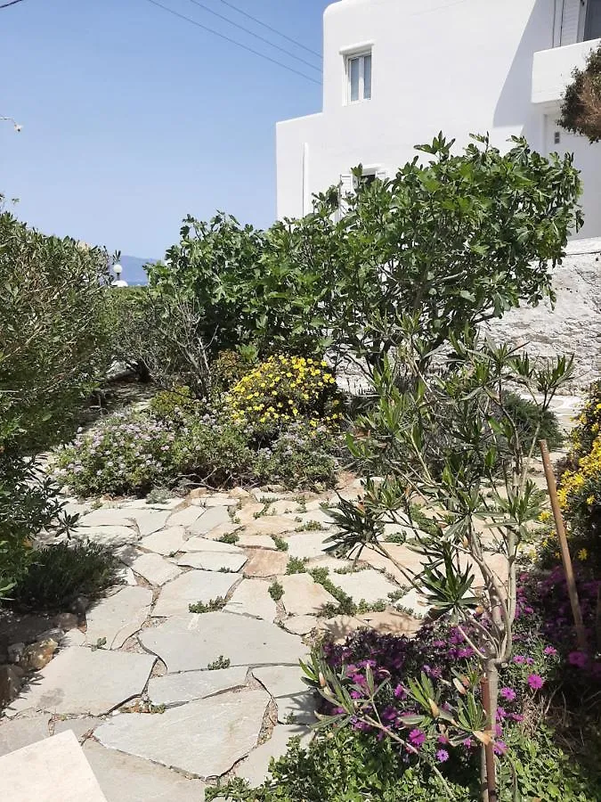 ** Pensionat Angela'S Rooms Mykonos Town Grekland